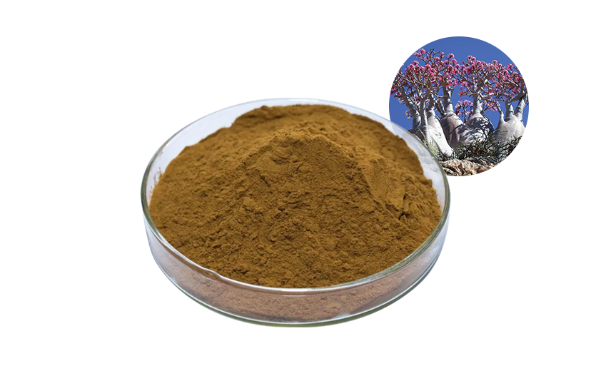 Baobab Extract